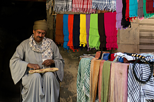 <p>© Yasser Alaa Mobarak</p>