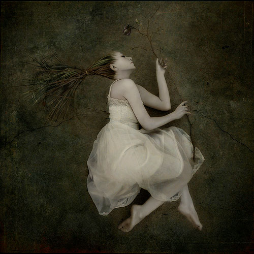 <p>© Trini Schultz</p>