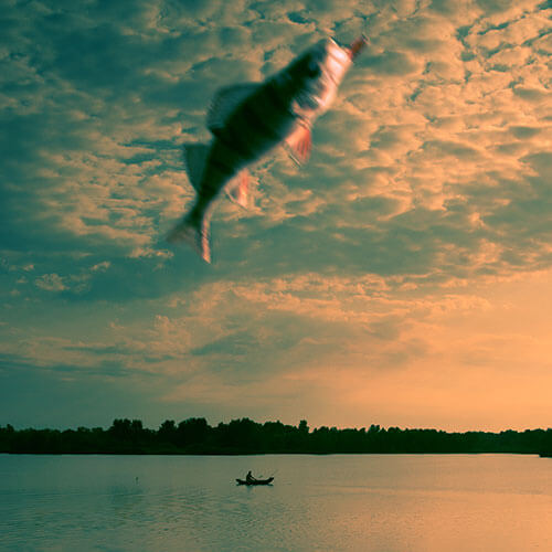 <p>© Krzysztof Wladyka</p>
